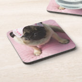 Mopshund mit Augenmaske auf dem Kopf, der auf Bett Untersetzer (Linke Seite)