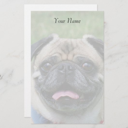 Mopshund stationär briefpapier (Vorne/Hinten)