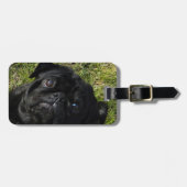 Mopsschwarzes Gepäckanhänger (Vorderseite horizontal)