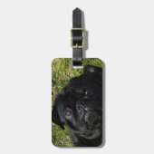 Mopsschwarzes Gepäckanhänger (Vorderseite vertikal)