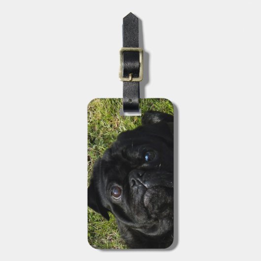 Mopsschwarzes Gepäckanhänger (Vorderseite vertikal)