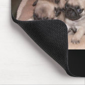 Mopswelpe Mousepad (Ecke)