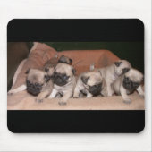 Mopswelpe Mousepad (Vorne)