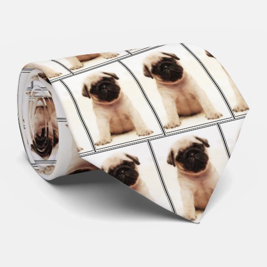 Mopswelpen-Krawatte Krawatte (Gerollt)