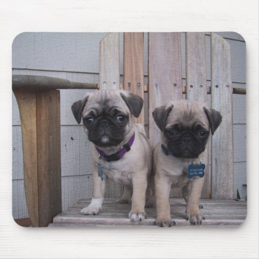 Mopswelpen Mousepad (Vorne)