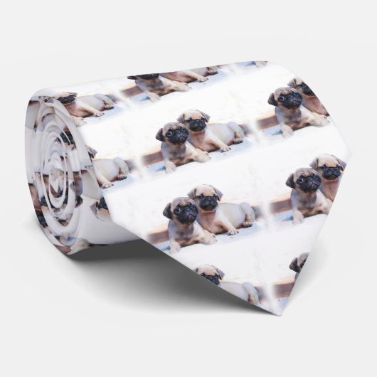 Mopswelpenkrawatte Krawatte (Gerollt)