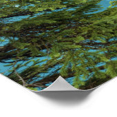 Moraine Lake Pano Poster (Ecke)