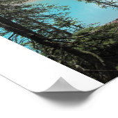 Moraine Lake Poster (Ecke)