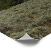 Moran und Wolken am Grand Teton Poster (Ecke)