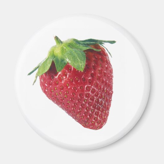 Morango Magnet (Vorne)