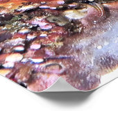 Moray Emerging Poster (Ecke)