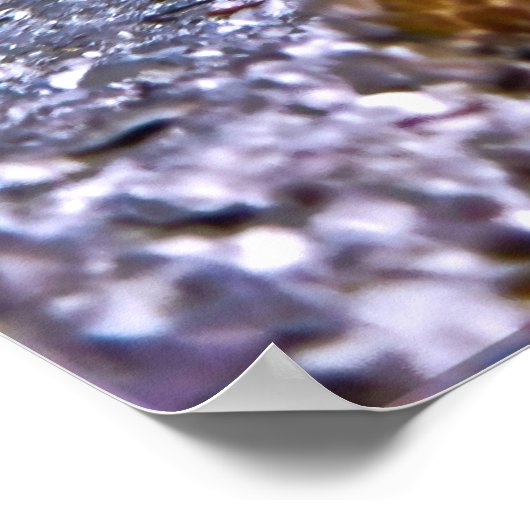 Moray und Freunde Poster (Ecke)