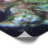 Moray und Koral Poster (Ecke)
