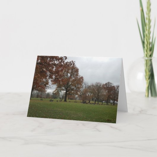 Morbid-Karte zum Jubiläum Karte (Vorderseite)