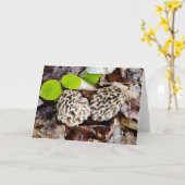 Morchel-Jäger-Gruß-Karte Karte (Gelbe Blume)