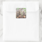 Morchel-Pilz-Aufkleber Quadratischer Aufkleber (Tasche)