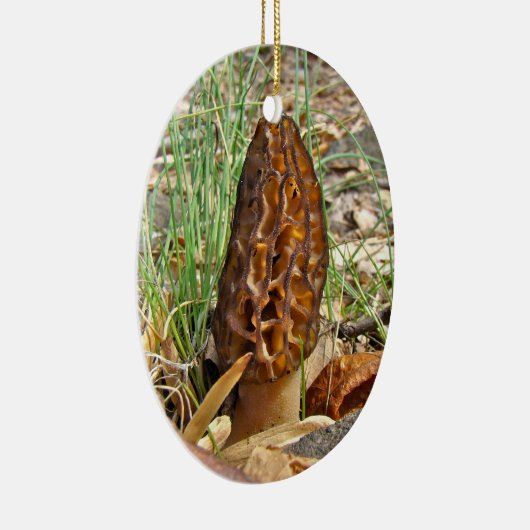 Morchel-Pilz Keramikornament (Rechts)