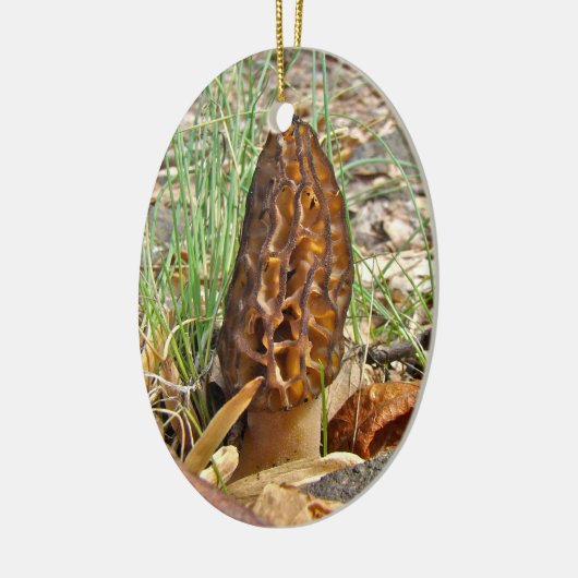 Morchel-Pilz Keramikornament (Links)