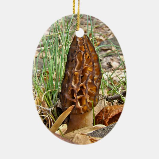 Morchel-Pilz Keramikornament (Hinten)