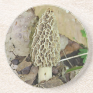 Morchel-Pilz-Untersetzer Untersetzer