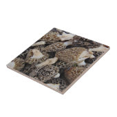 Morchel-Pilze Fliese (Seite)