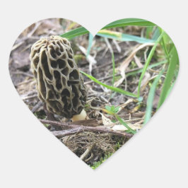 Morchella esculenta, Black Morel, Morel Mushroom Herz-Aufkleber