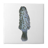 Morchelpilzfliese Fliese (Vorderseite)