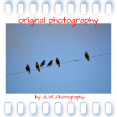 Mord an Crows Silhouette Mystery Lover Tasse