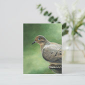 Mord an Dove Bird Art Postkarte (Stehend Vorderseite)