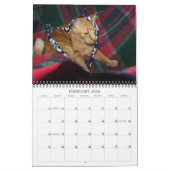 Mordi, Basil & Friends Cat Calendar 2024 Kalender (Feb 2026)