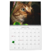 Mordi, Basil & Friends Cat Calendar 2024 Kalender (Mär 2026)