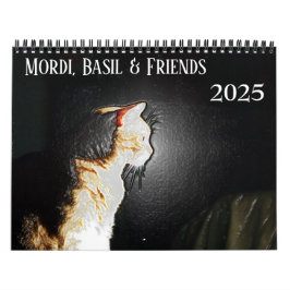 Mordi, Basil & Friends Cat Calendar 2025 Kalender