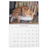 Mordi, Basil & Friends Cat Calendar 2025 Kalender (Jan 2026)
