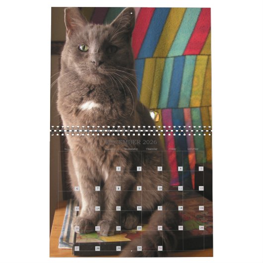 Mordi, Basil & Friends Cat Calendar 2025 Kalender (Dez 2026)