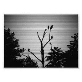 Mordkrähen in einem toten Baum (Gruselige Version) Fotodruck