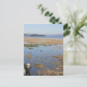 Morecambe Bay Postkarte (Stehend Vorderseite)