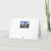 Morecambe Bay View Karte (Rückseite)