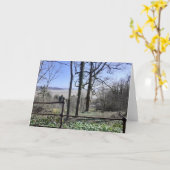 Morecambe Bay View Karte (Gelbe Blume)