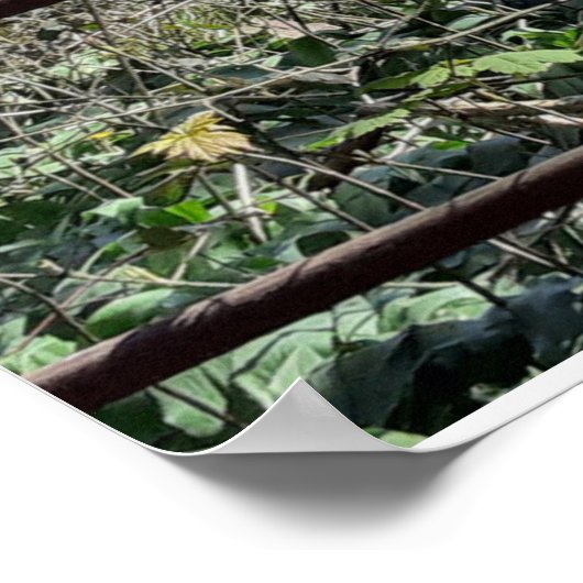 Morecambe Bay View Poster (Ecke)