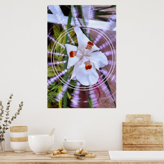 moreia branca poster (Küche)