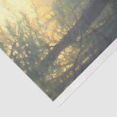 Morel Fungus Mushrooms Illustration Decoupage Seidenpapier (Ausschnitt)