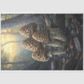 Morel Fungus Mushrooms Illustration Decoupage Seidenpapier (Vorderseite)