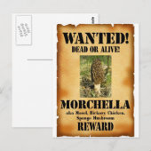 Morel - Gewollt Poster Postkarte (Vorne/Hinten)