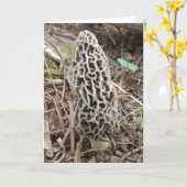 Morel Mushroom Card Karte (Gelbe Blume)