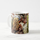 Morel Mushroom in der Wildnis Kaffeetasse (Vorderseite Links)