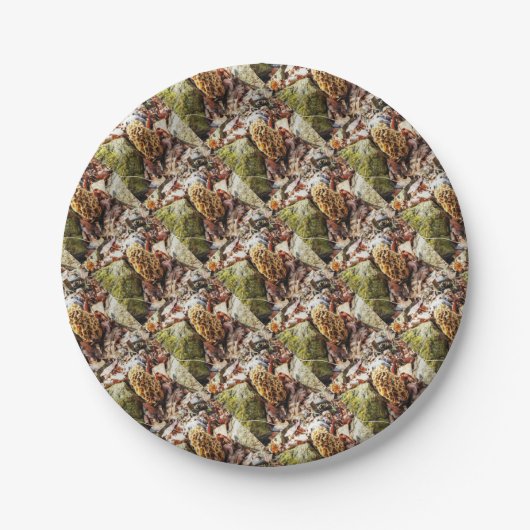 Morel Mushroom in der Wildnis Pappteller (Vorderseite)