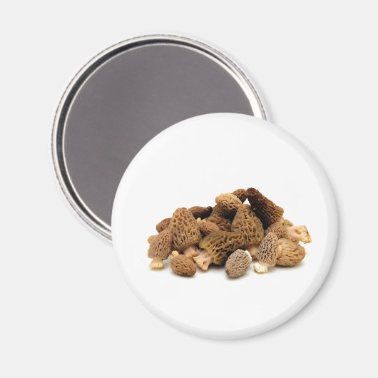 Morel Mushroom Magnet (Vorderseite/Rückseite)