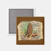 Morel Mushroom Magnet (Vorderseite/Rückseite)