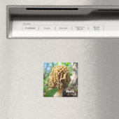Morel Mushroom Magnet (In Situ (Geschirrspüler))