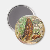 Morel Mushroom Magnet (Vorderseite/Rückseite)
